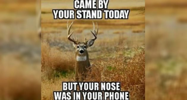 9454D8E8-F4D6-409B-8ED7-B1879D4C5BB7.jpg