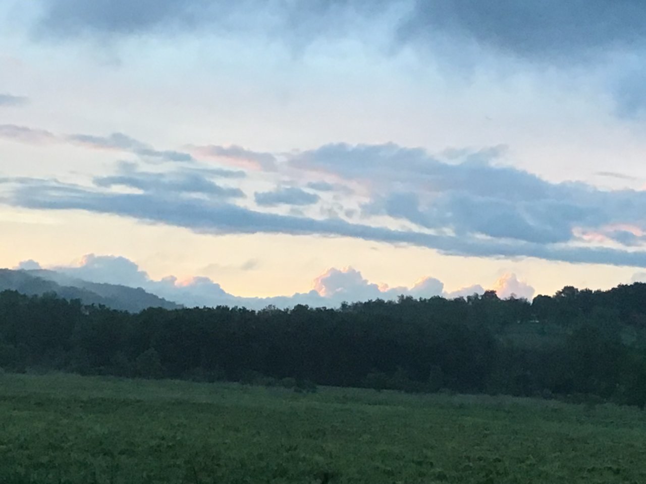 95449600-63C2-4652-AC91-CFCB95EE447A.jpg