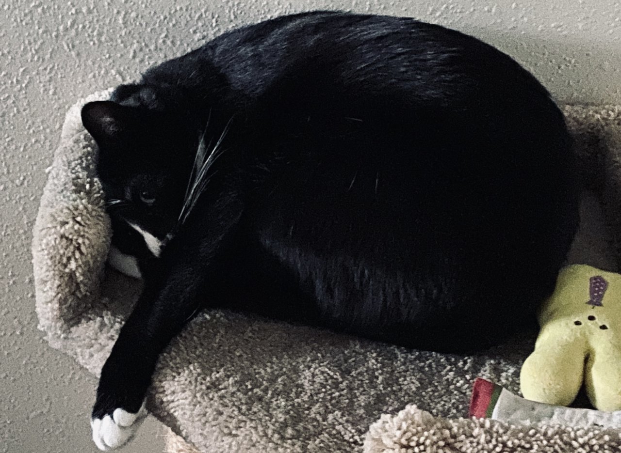 955243A3-7119-4FCD-A6CA-BE52E8956D2D.jpg