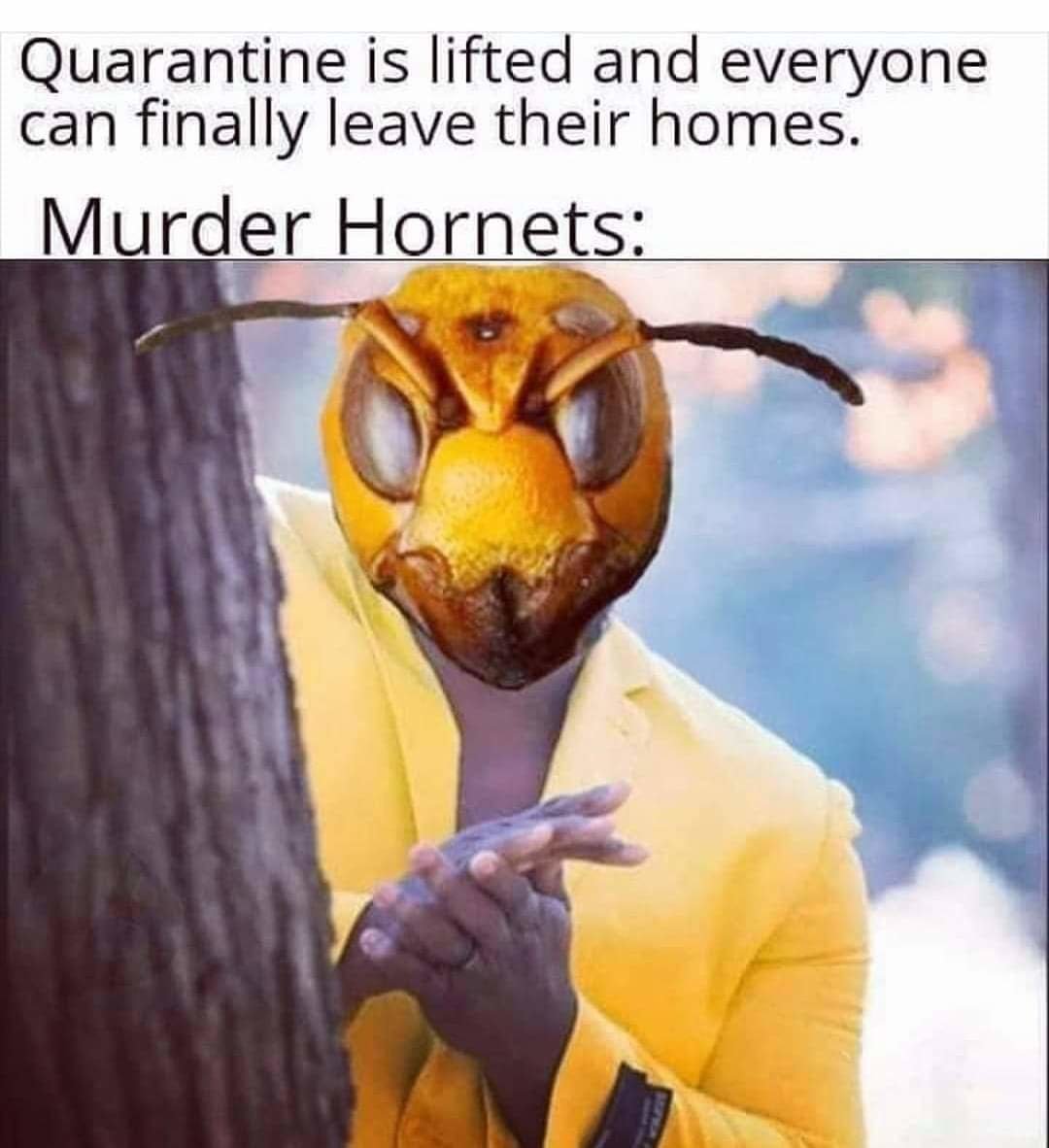 95883665_3441389002557631_5259939567150039040_o.jpg