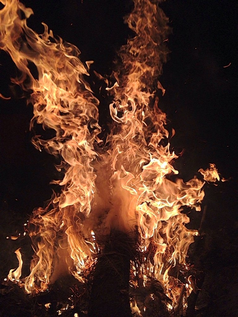 95c1f85bf29a1339f37b50c549f25d2c_23e61cde1a63bc607bb9ddef9b4322d2a8670c32.jpg