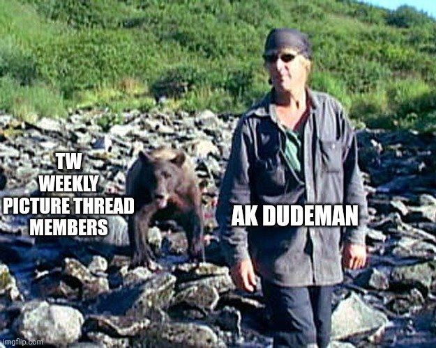 95wh2d.jpg