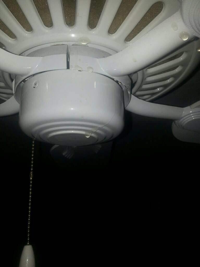 960caea8e336d8586baf3eab82cbe4d3_bc8638c4c2cc9c4b9994cc38b4c8493c9b825800.jpg