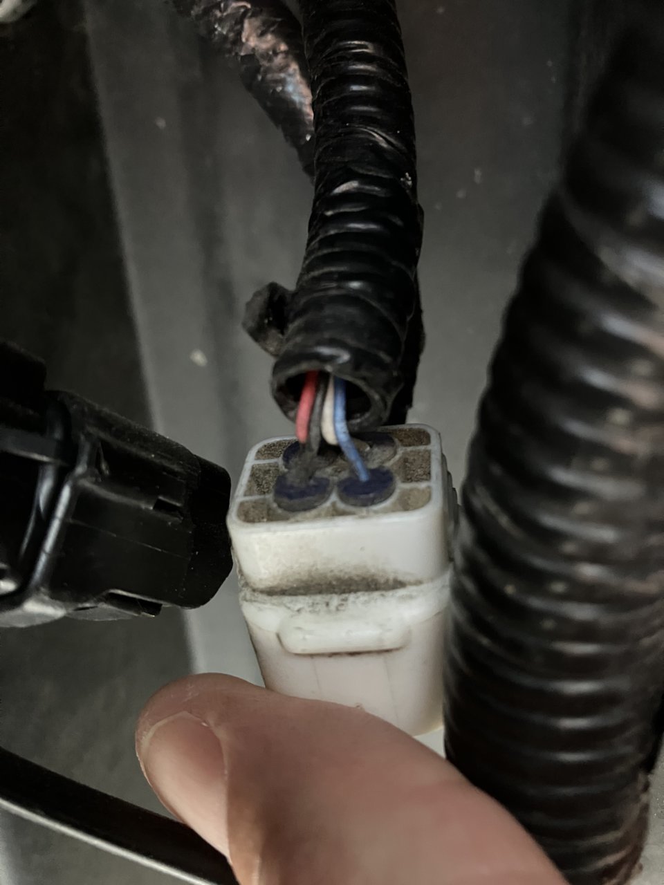962C3CA5-9FBD-40F1-8E36-04EB63F36CB3.jpg