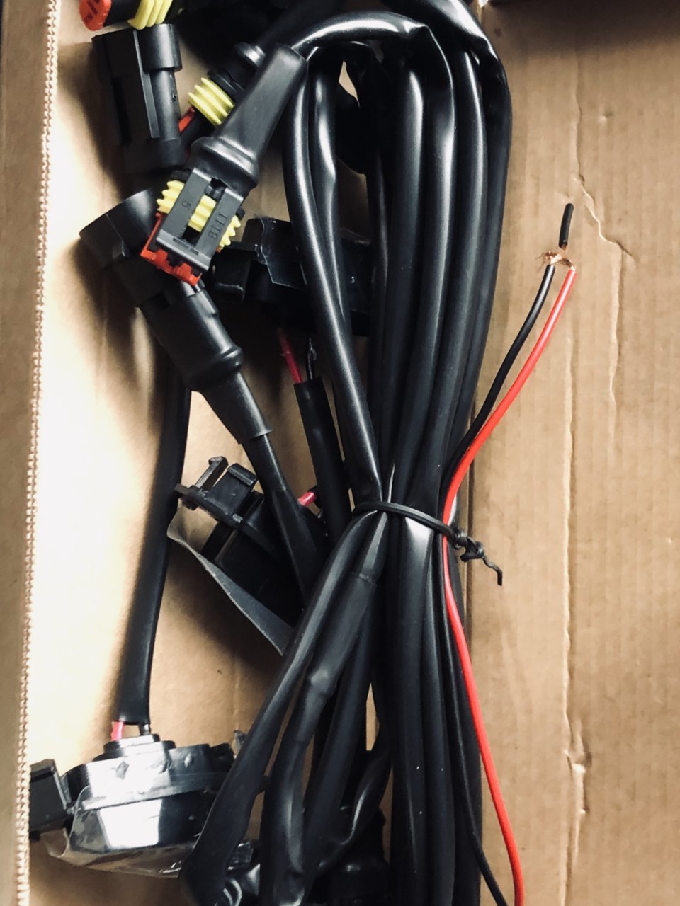 964E6205-E237-43D1-862A-FD63813183B7.jpg