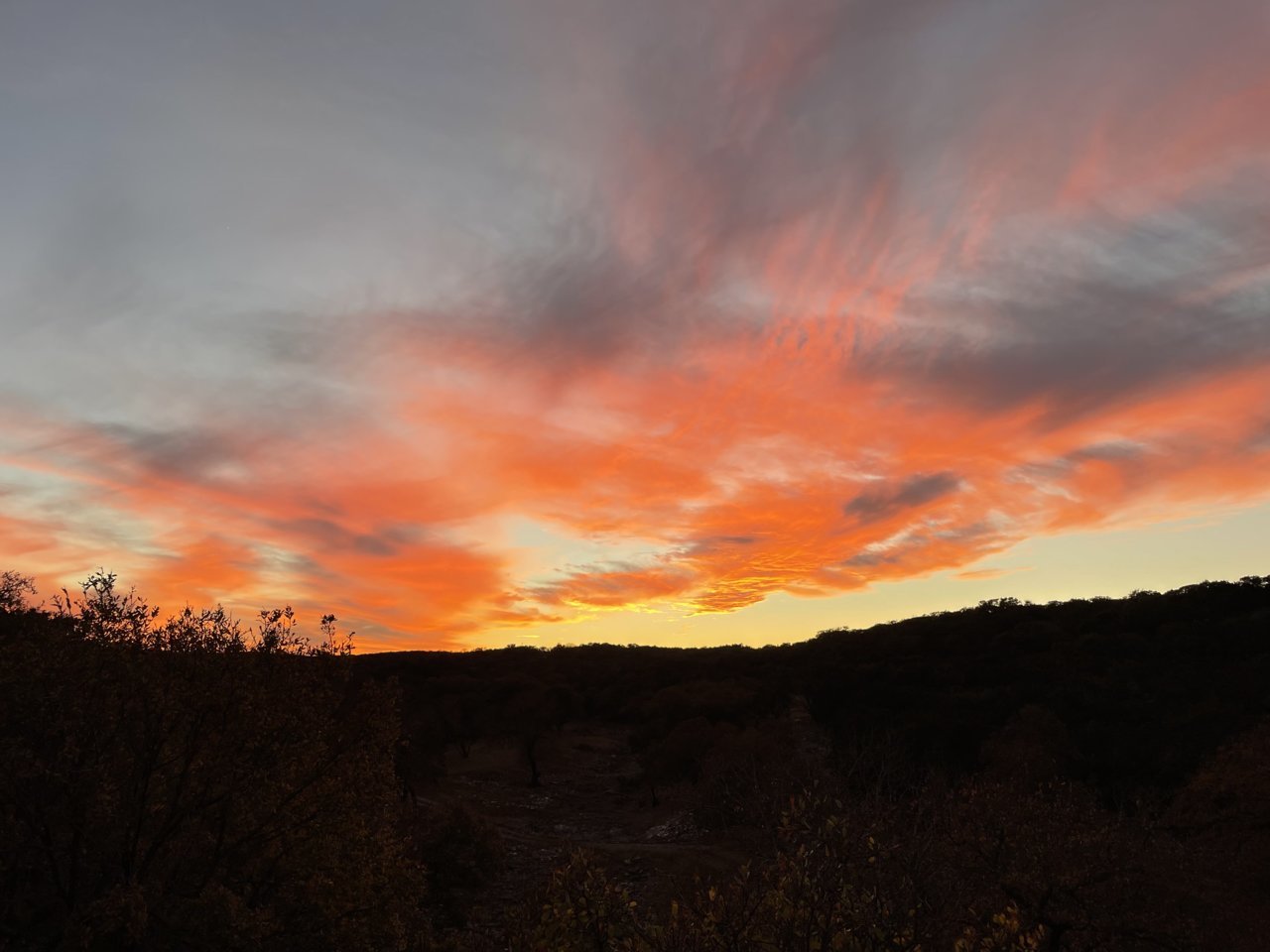 96EB6230-6CCA-4AB3-8D0A-2C454AAE5956.jpg