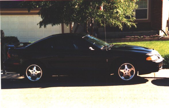 97 Cobra.jpg