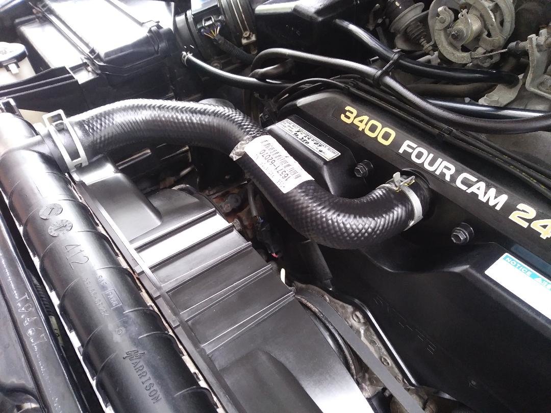 '97 new top hose 2.jpg
