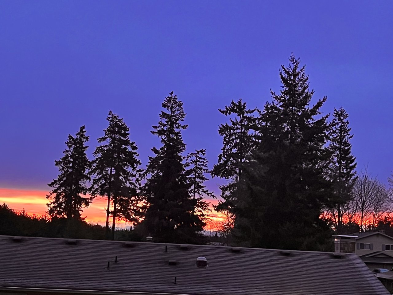 9735AA3E-0D32-4623-83EF-C915E51009FE.jpg