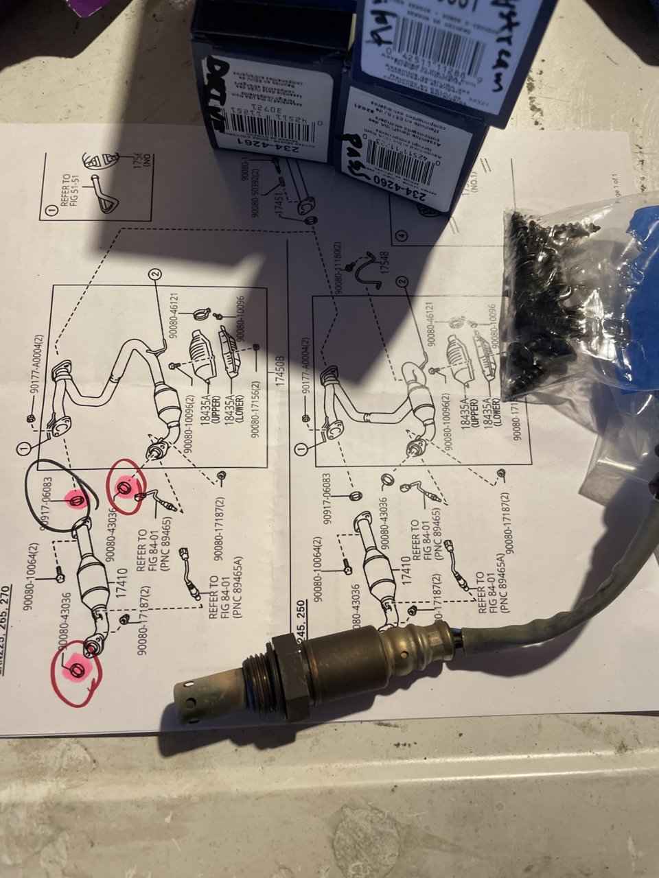 973A2019-F2C8-4989-BAB4-5D59667EF8AE.jpg