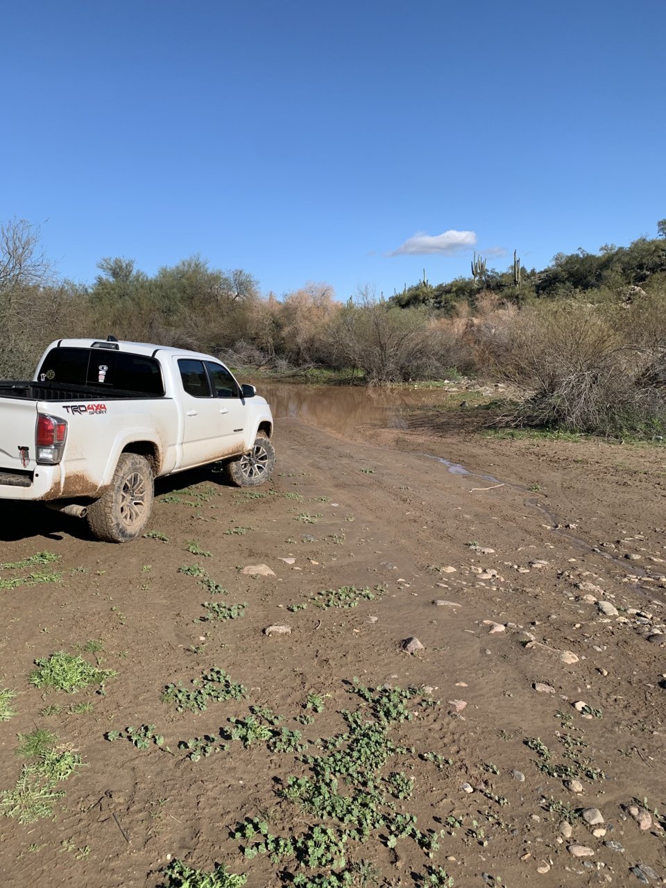 9779760B-E31F-4D1C-AEEF-987A8C782428.jpg