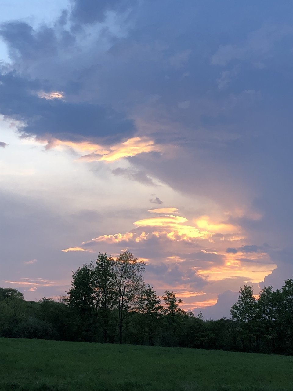 97E64256-470D-4B80-A8AE-C2221C5CED2A.jpg