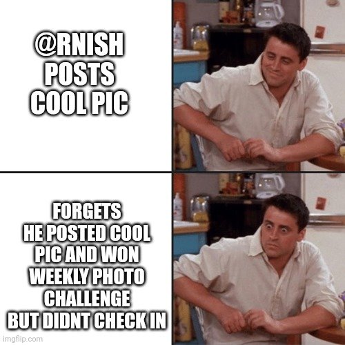 9871zu.jpg