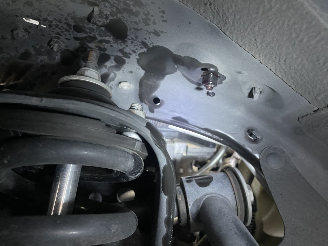 98BDDF63-F993-4269-AF4E-CCCA4CAEF996.jpg