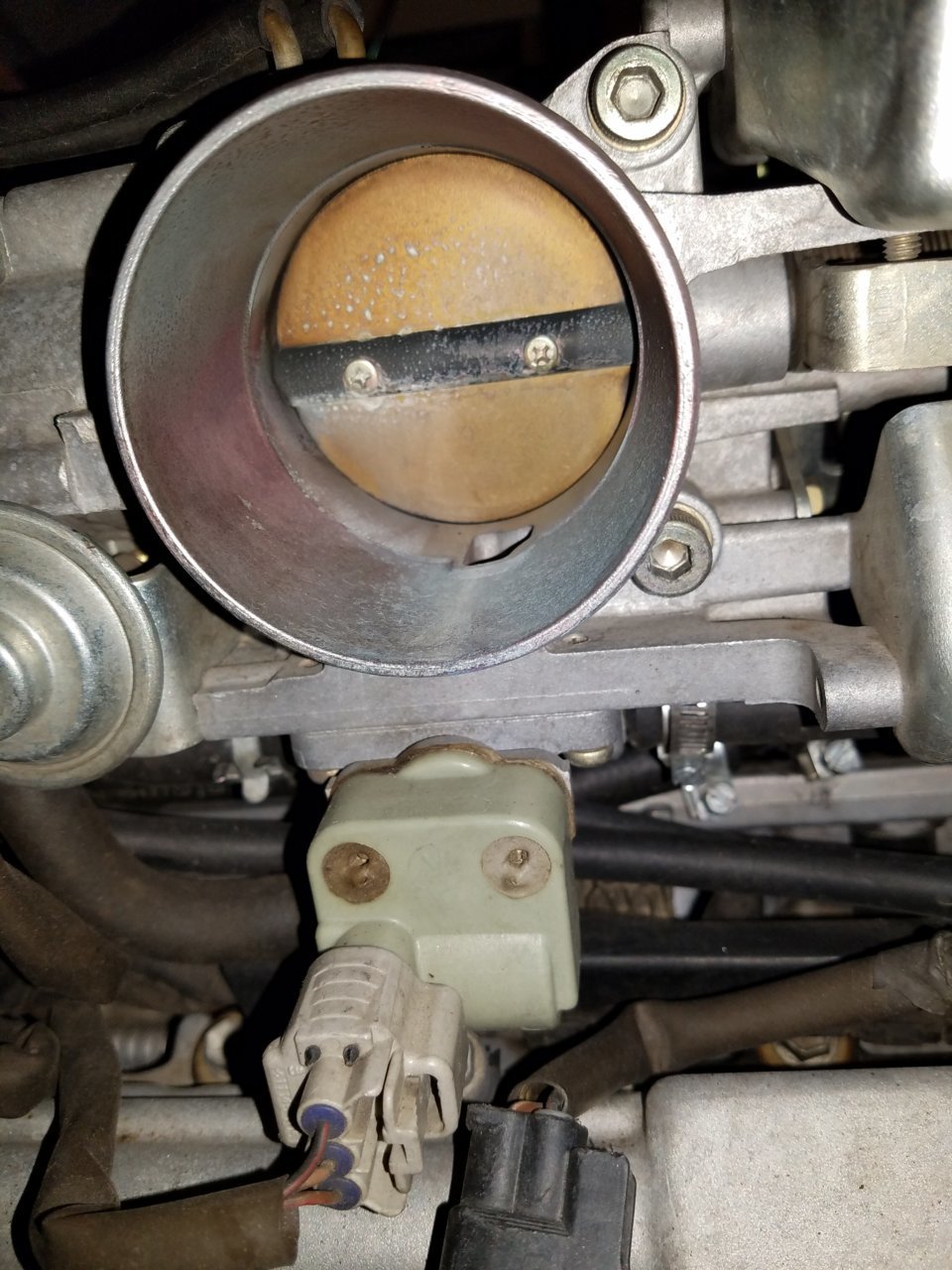 98CEA2D0-1922-4070-9171-A1CCDD9A24AA.jpg