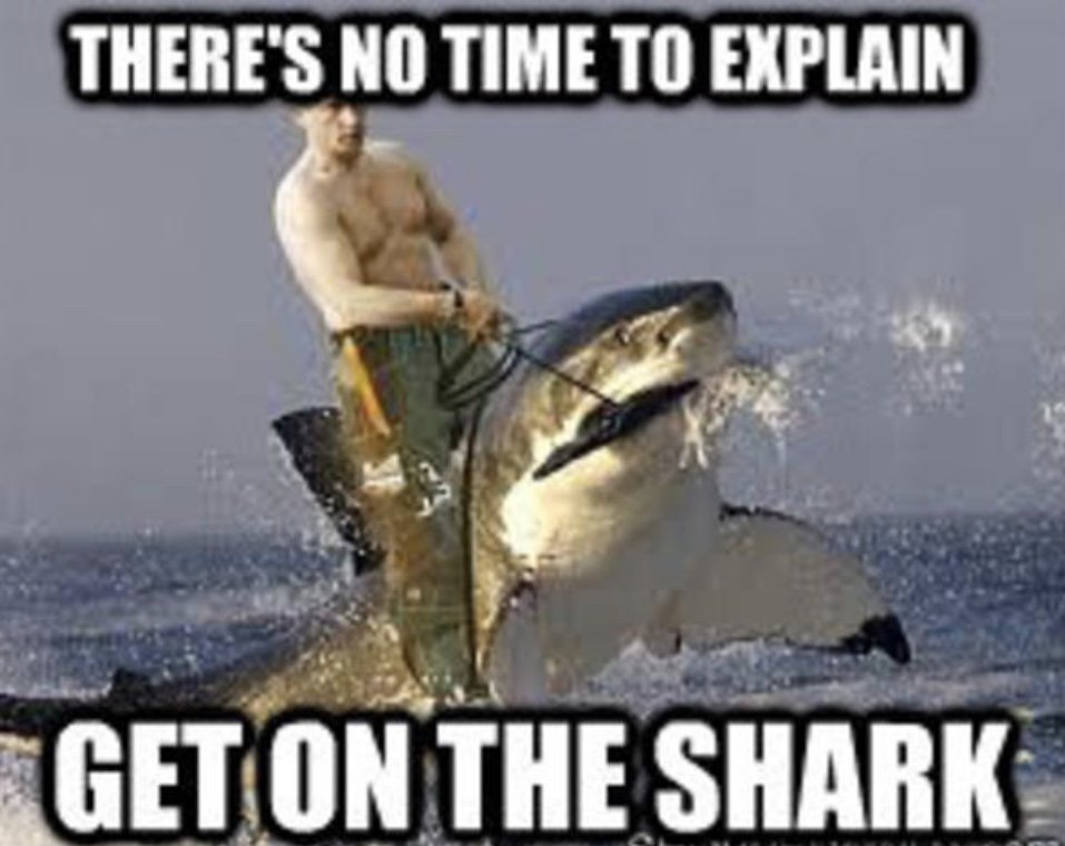 98D08F3D-0F3D-4C38-B85C-4D22CE06415C.jpg