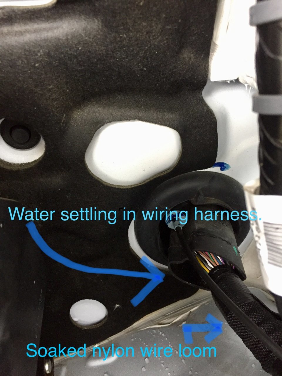 98ECF809-018E-4299-B463-7EAD348135B7.jpg