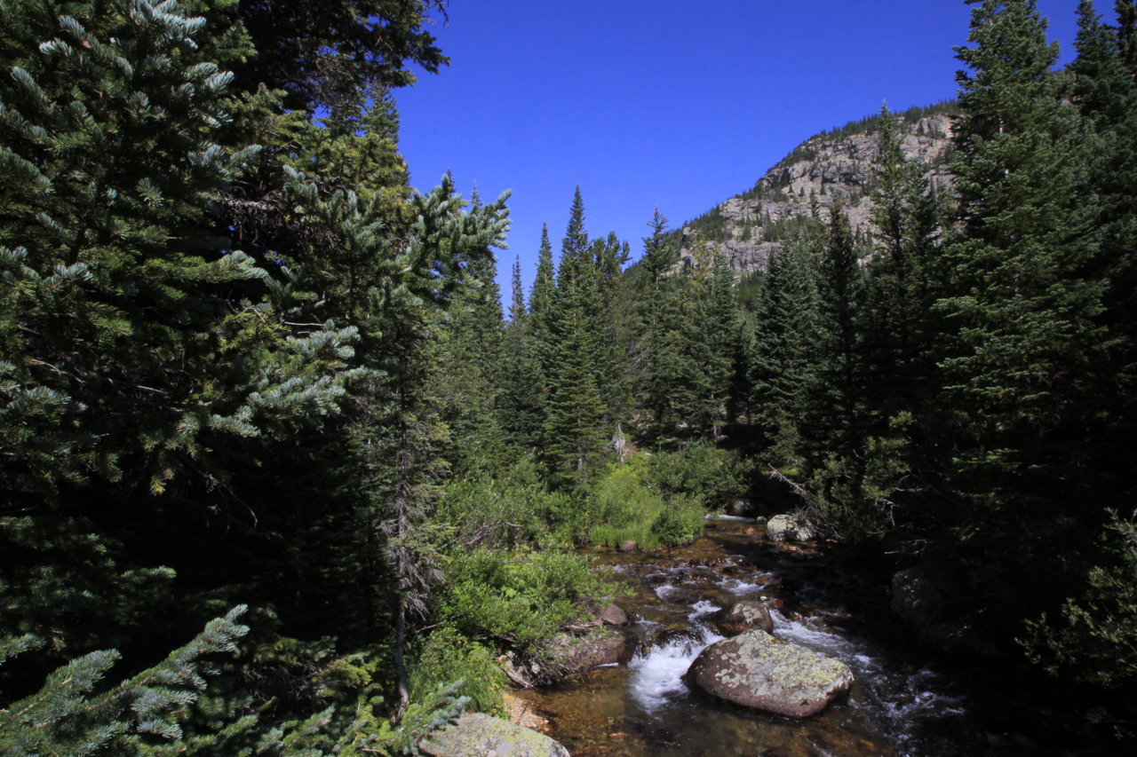 99084681-4CAA-4F2A-B6A7-29B824C78FD7.jpg