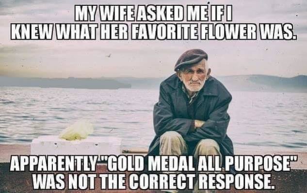 99439902_2751862851691923_2366467593583198208_n.jpg