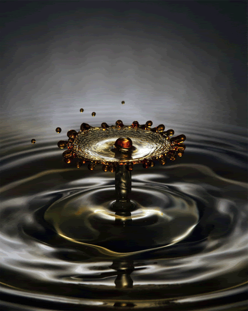 9_062ac940ca537ee071c33392167ae0505e1b68fe.gif