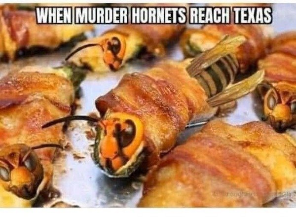 9a101a03dd4cccd6e586bef5e8ee3bf0.jpg