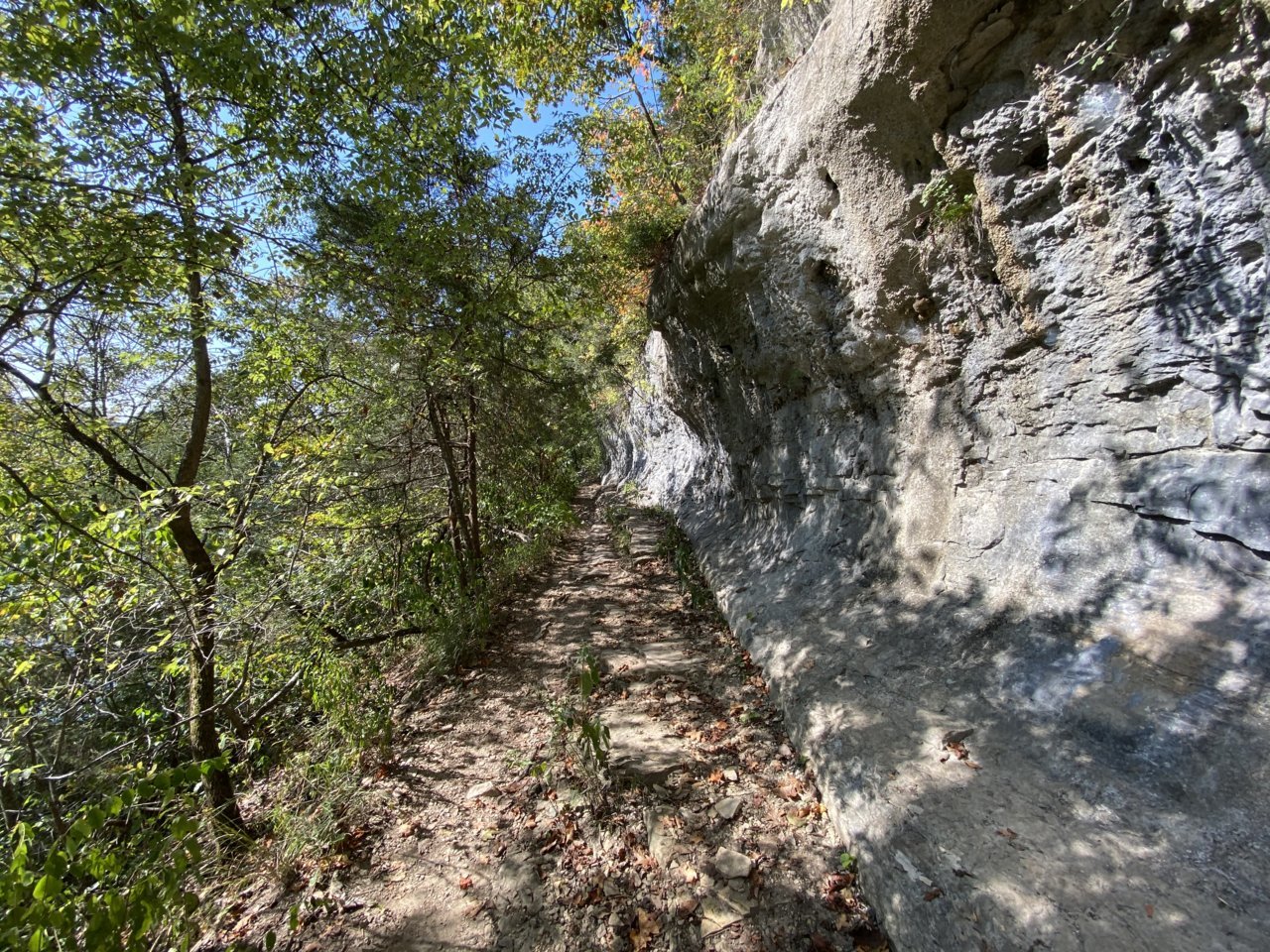 9A3AC245-BB84-4CA3-80F6-682F681FFF00.jpg