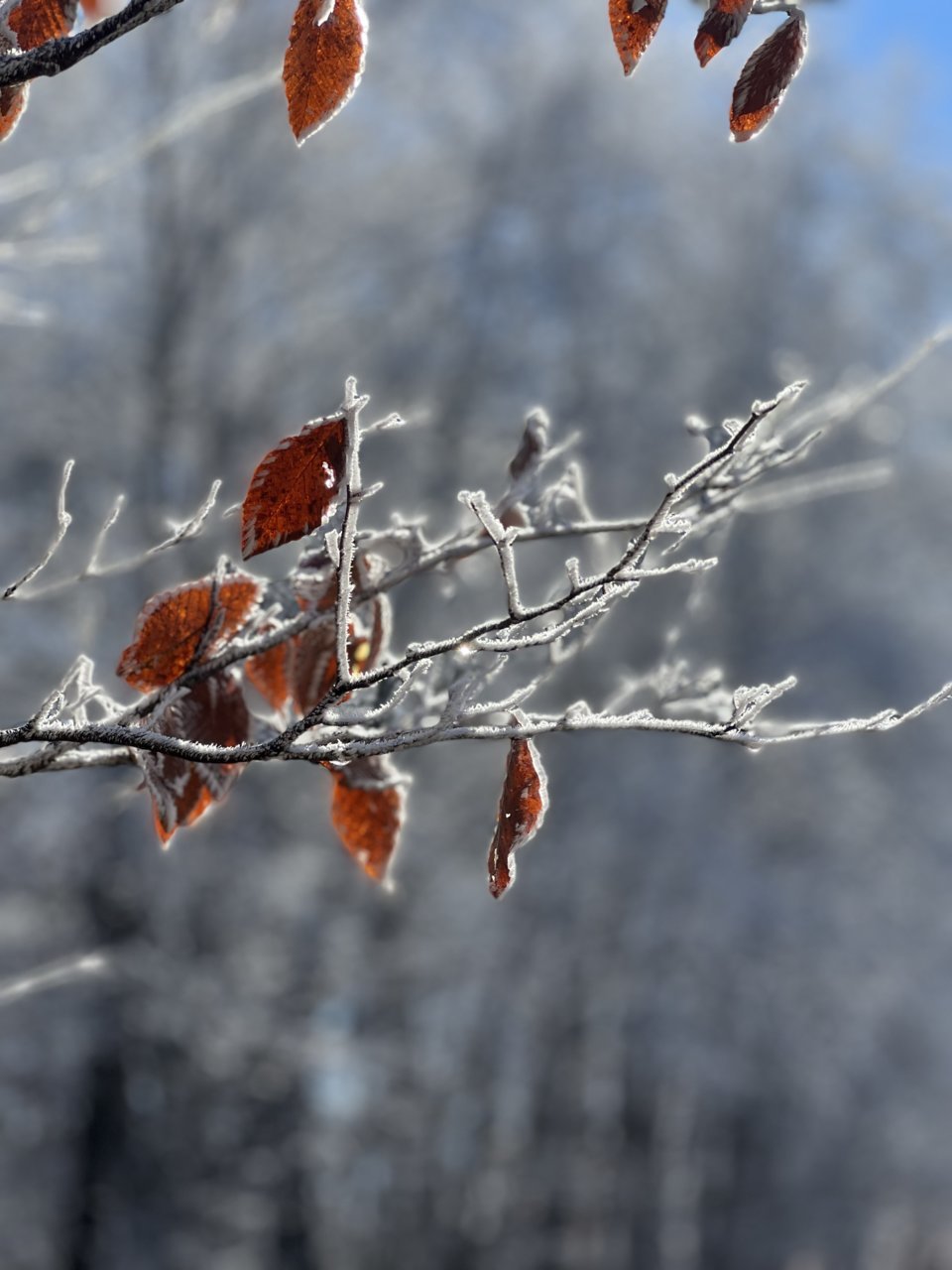 9B9449F5-FF22-4E3E-8D5B-C20EC9D7F23F.jpg