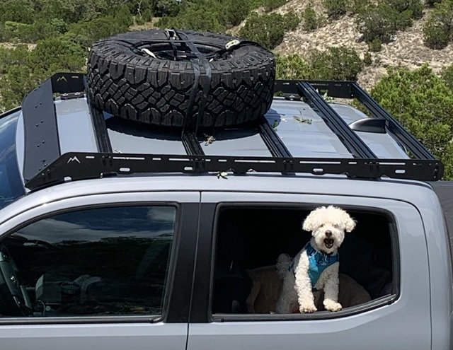 Martin offroad roof rack tacoma new arrivals