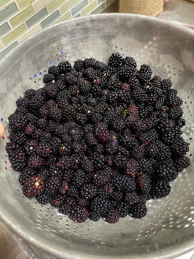9C22846D-5075-4C83-AA9A-543B7267874B.jpg