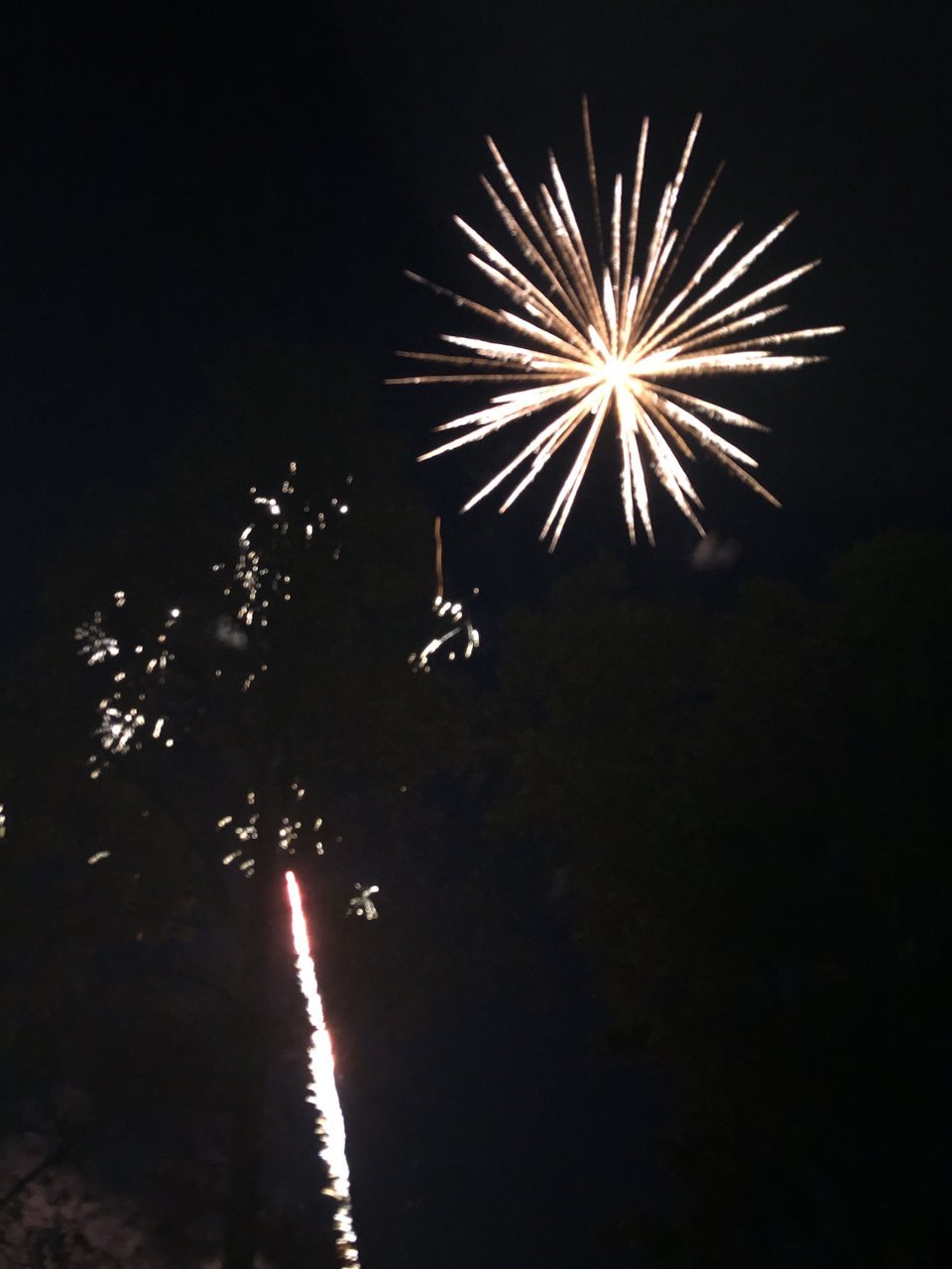 9CFCBEF3-5218-46AB-8711-7DDF1170D817.jpg