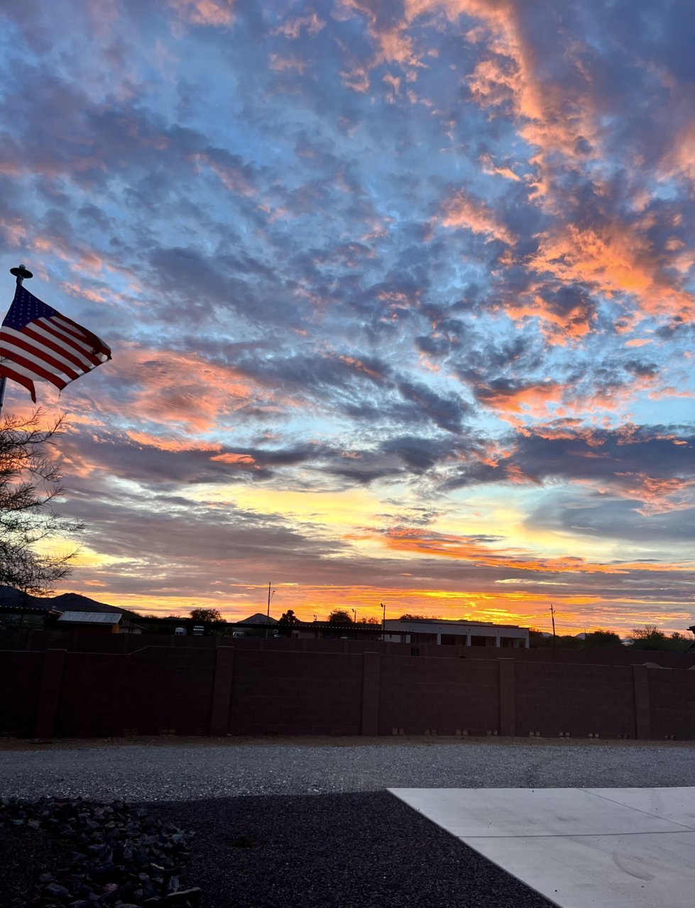 9ED634D5-48FA-4BE3-B013-03004889AC6A.jpg