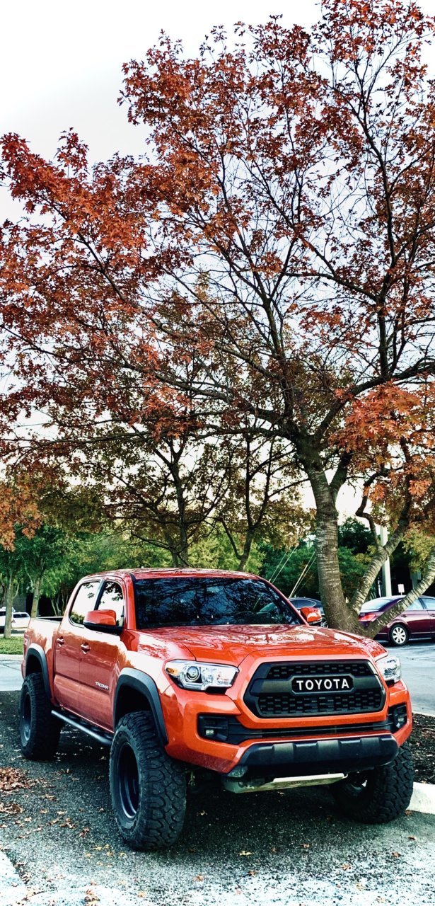 9EDBEABF-972F-4062-BC03-6512E168573F.jpg