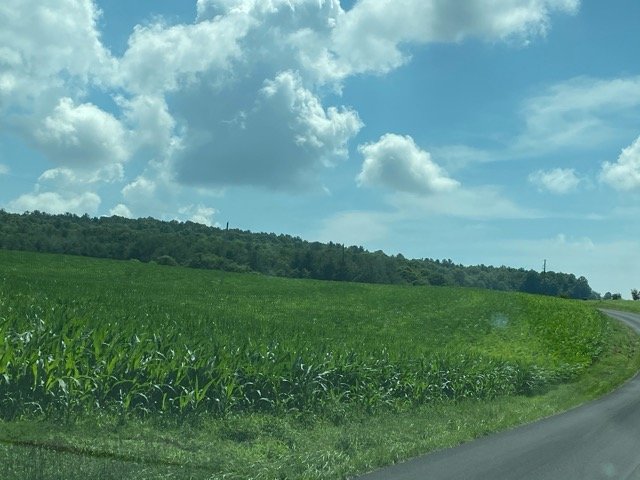 9F1B88DF-E852-42F3-AC78-5A708064879C.jpg