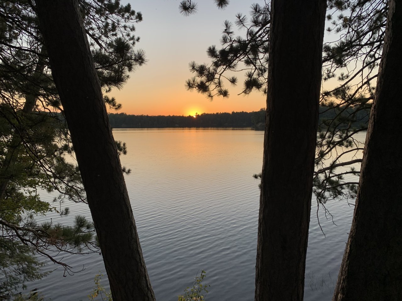 9FA5374F-FD43-4124-A9FB-990B0B4D45D9.jpg
