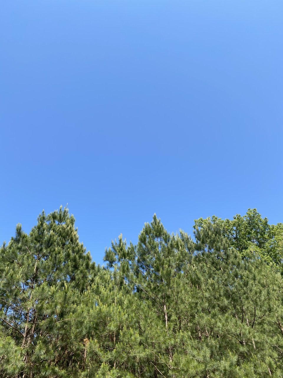 9FA6374D-E2FA-405D-999E-A1376CE833AA.jpg