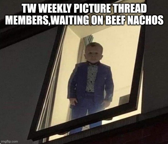 9giy81.jpg