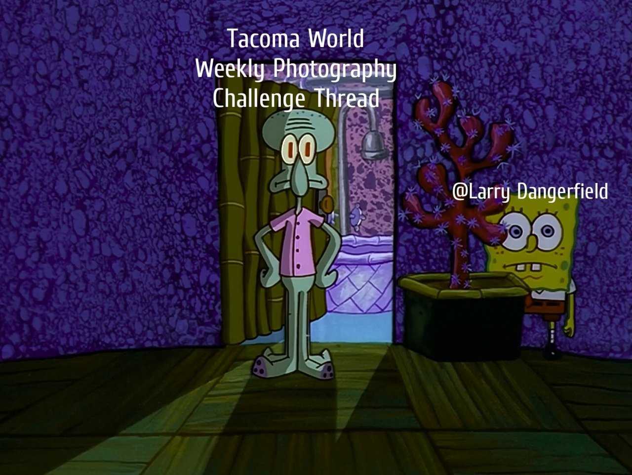 9lkbwcy6mi631.jpg