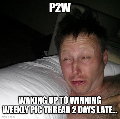 9m9szh.jpg