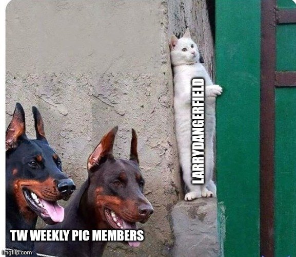 9wpce0.jpg