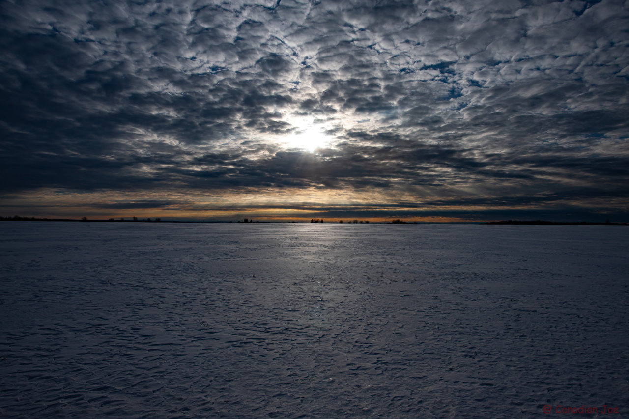 _00H5246-6.jpg