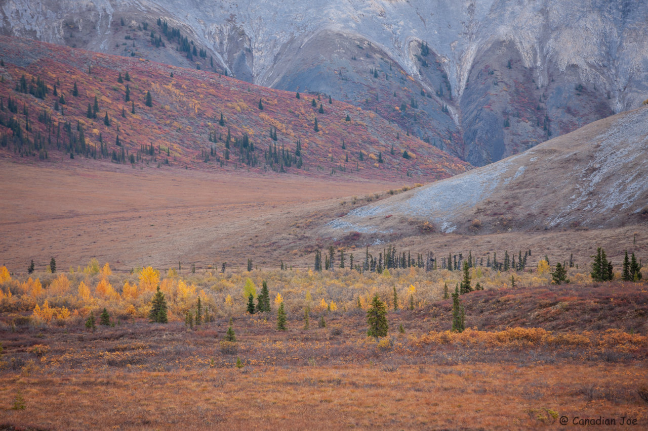 _00H7783-2.jpg