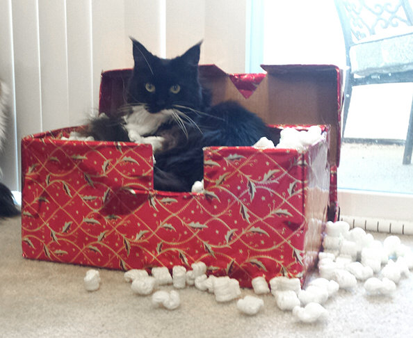 _2015-01-07 07.17.48.jpg