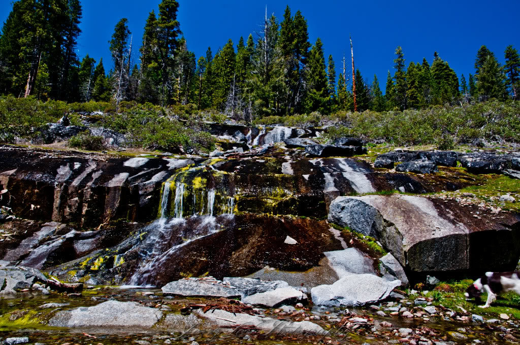 _DSC1366_395145f41752ac3852ca257f9290d4149b5f9c74.jpg