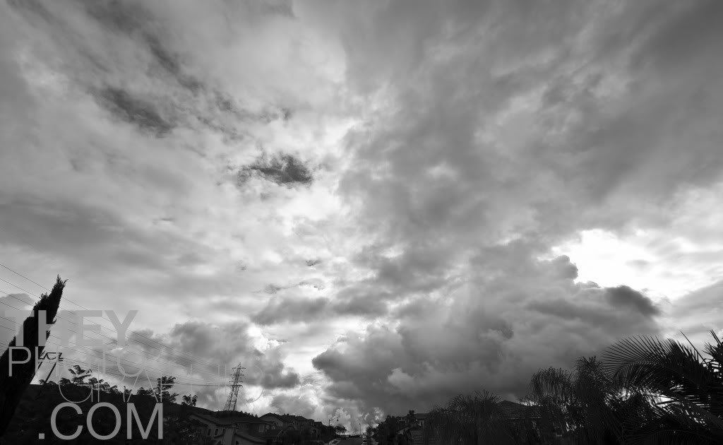 _DSC1571-2_a9db4f001b239abc3d01958ea6c23f0cc8468c5e.jpg
