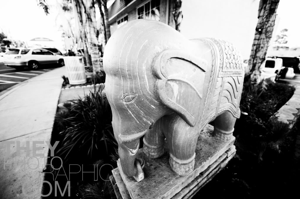 _DSC3364_48c7fe9852dae97c57bb3f9bf9121a80f811fb07.jpg