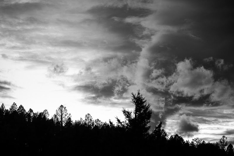 _DSC4018_55794394729eec70f7eed7ec7130c9783f8122e2.jpg