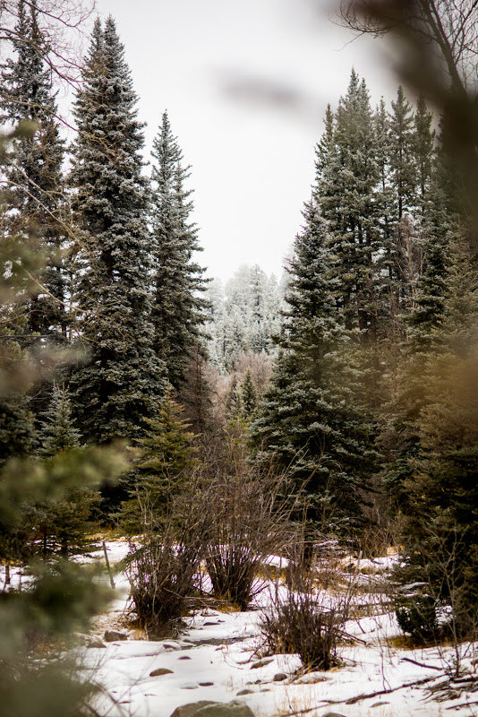 _DSC4047_774a67ad16d95fd3e5d0bb35909db34b7162cf6a.jpg