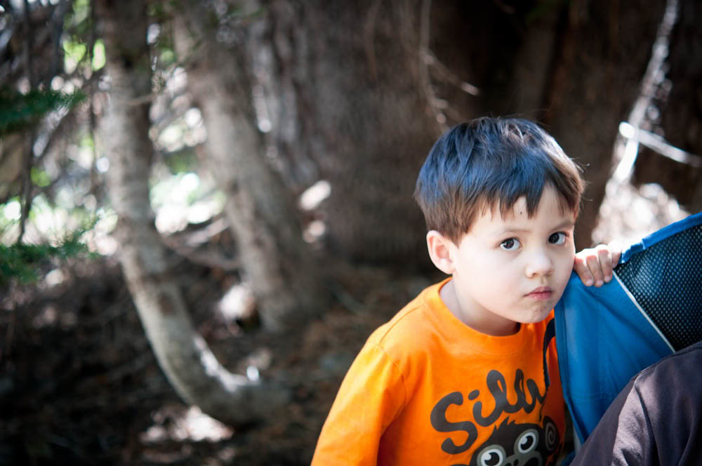 _DSC4570_018c43860f72bb9bf906cf4bf5677d29263c6703.jpg