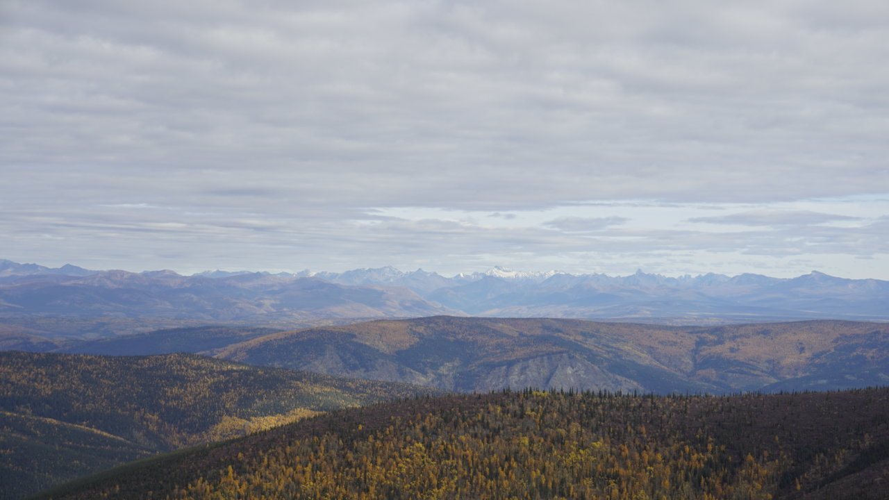 _DSC5359.jpg