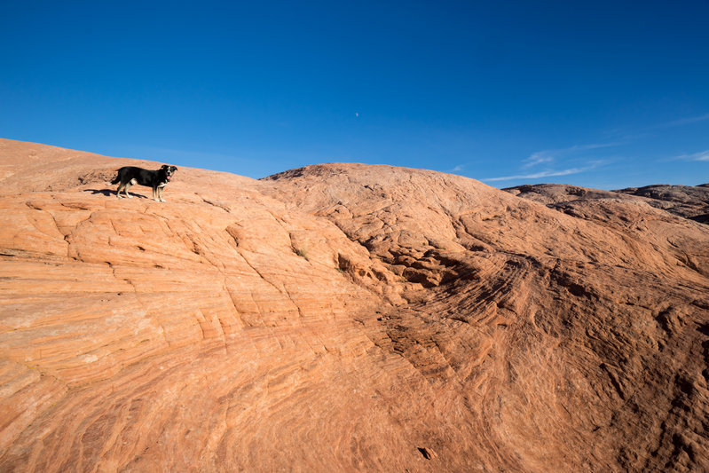 _DSC5488.jpg